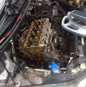 Gallery 253549844 1331150660654249 2699746305147465596 n