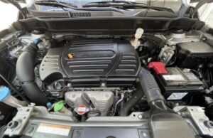 Gallery 473027290 2095753787527262 7854383909645808076 n