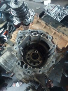 Gallery 473576113 2098243613944946 1051041856217838321 n