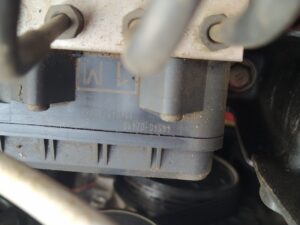 Gallery 474096992 2102417000194274 4923927042411937902 n