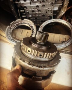 Gallery 475109716 1113105820604117 46769249718889764 n